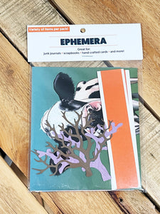 Ephemera Packs